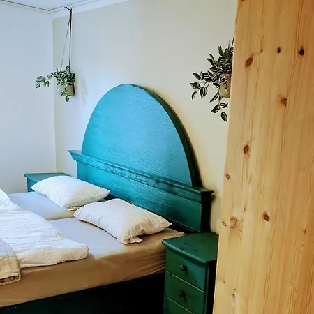 Blick Ins Gruene דירה פרוידנברג